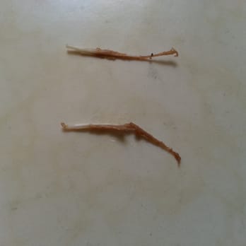Thai Original BBQ - Feathers in my food - Thai Near Me - Glendale, California