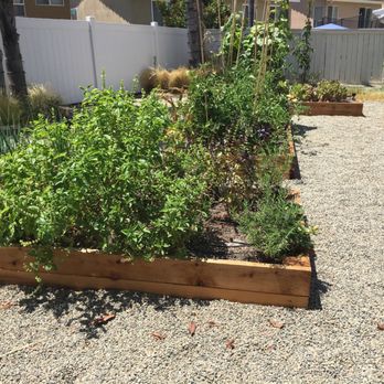Harvest to Home - Gardeners Near Me - Irvine, California