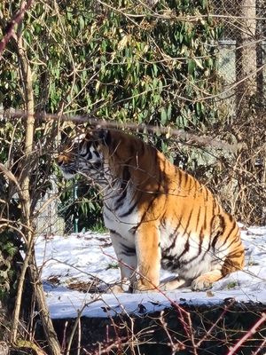 Hellabrunn Zoo by null