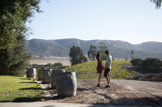 Babcock Winery & Vineyards by null