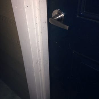 Summerbrooke Apartments - Disgusting! - Apartments Near Me - Kemah, Texas Summerbrooke Apartments - Disgusting! - Apartments Near Me - Kemah, Texas