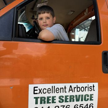 Excellent Arborist Tree Company - Tree Services Near Me Excellent Arborist Tree Company - Tree Services Near Me
