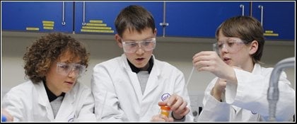 We The Curious by null