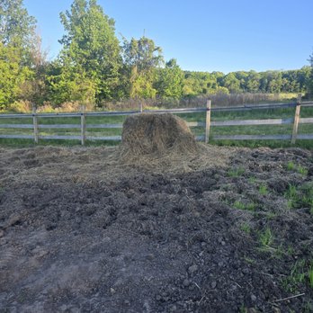 JLD Equine - Moldy hay left in pasture - Horseback Riding Near Me - Fairport, New York