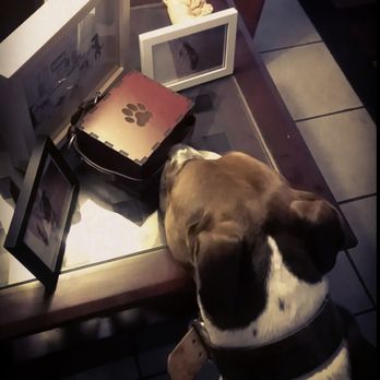 Entrusted Pets - Thank you for returning her to her family quickly. - Pet Cremation Services Near Me - Phoenix, Arizona Entrusted Pets - Thank you for returning her to her family quickly. - Pet Cremation Services Near Me - Phoenix, Arizona