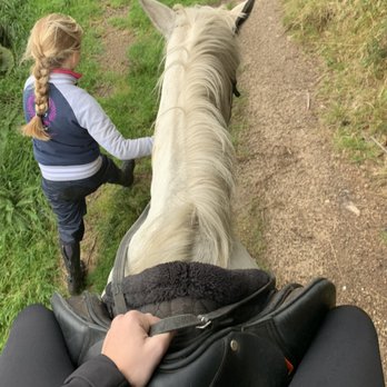 Paddocks Riding Centre - Horseback Riding Near Me - Sandyford, D Paddocks Riding Centre - Horseback Riding Near Me - Sandyford, D