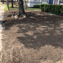 Houston Grass