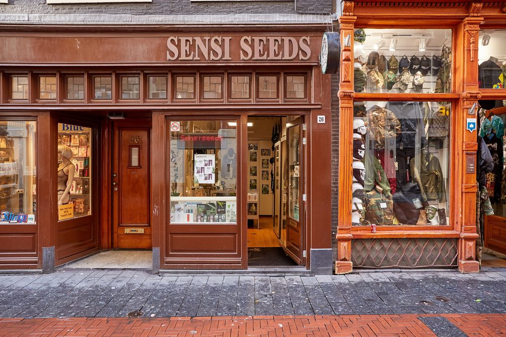 Sensi Seed