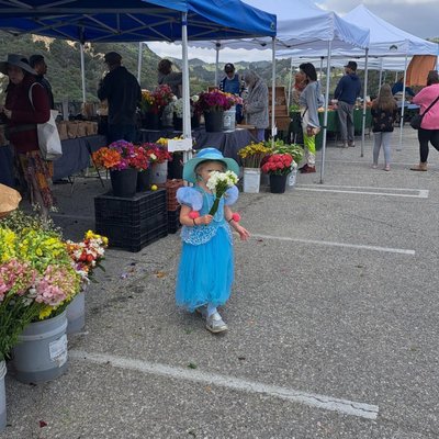 Topanga Farmers Market by null