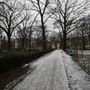 Photo of Arnimplatz