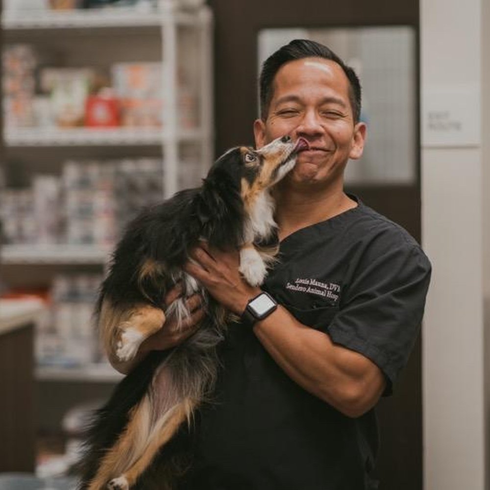 TOP 10 BEST Veterinarians Open on Sunday in Mission Viejo, CA - Updated  2026 - Yelp