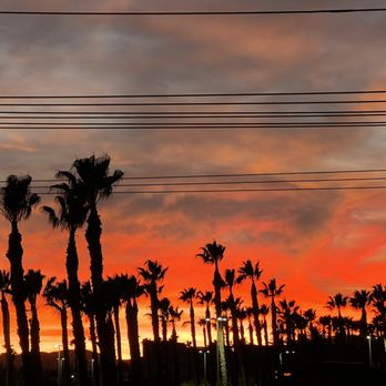 The 24 - The view from my balcony! - Apartments Near Me - Los Angeles, California