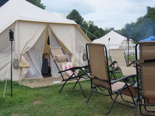 Adirondack Safari by null