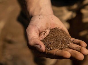 The Agave Experience