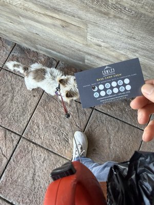 7290 Navajo Rd by null