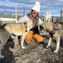Black Spruce Dog Sledding - With more of the lovely doggos!