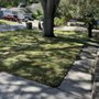 Photo of OB Garden Center