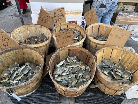 Asianfresh Food Market by null