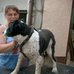 Zottelmobil - Mobile Hunde- und Katzenpflege,