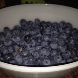 BURCH FARMS - Fresh delicious blueberries