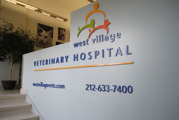 West Village Veterinary Hospital by null