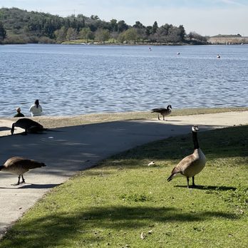 Frank G Bonelli Regional Park - Parks Near Me - San Dimas, California