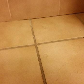 Motel 6 - Pubic hair everywhere in the bathroom. Also a rusty bottle open attached to the sink. - Hotels Near Me - Newport, Rhode Island