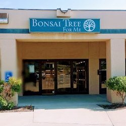 Bonsai Tree For Me