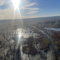 Grand Bay Wildlife Management Area