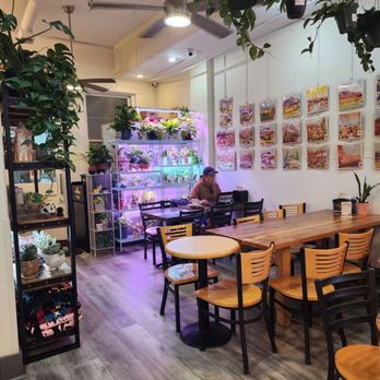 Red Dog Coffee - Seating - Cafes Near Me - Manitou Springs, Colorado Red Dog Coffee - Seating - Cafes Near Me - Manitou Springs, Colorado