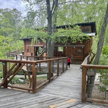 Discovery Museum - Tree House - Museums Near Me - Acton, Massachusetts