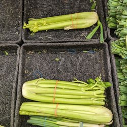 Richard & Ruth's No Frills - Slim pickings