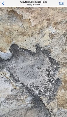 Clayton Lake State Park and Dinosaur Trackways by null