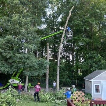 James River Tree Service - Tree Services Near Me James River Tree Service - Tree Services Near Me