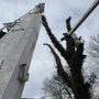 Boyds Tree Service