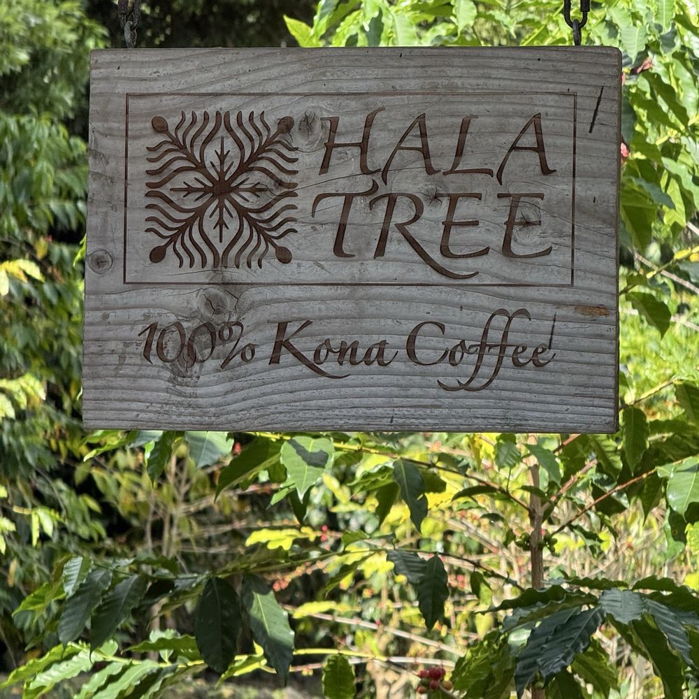 Hala Tree Coffee - Attraction Farms Near Me - Captain Cook, Hawaii Hala Tree Coffee - Attraction Farms Near Me - Captain Cook, Hawaii