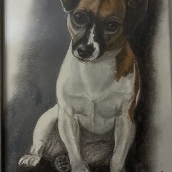 1. Abbey Animal Hospital