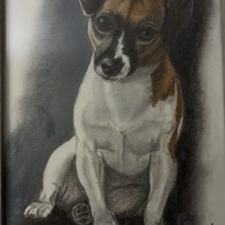 Abbey Animal Hospital - Portrait of Bug. I am an animal etc portrait artist