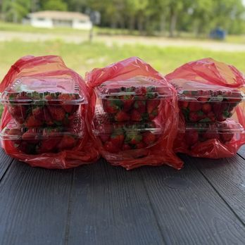 Berry Sweet Acres - Pick Your Own Farms Near Me - Plant City, Florida
