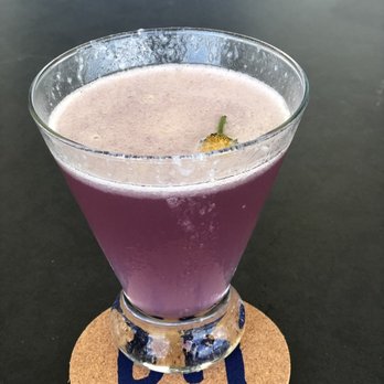 Beach House - Electric Daisy in all it's glory! - Bars Near Me - Pompano Beach, Florida
