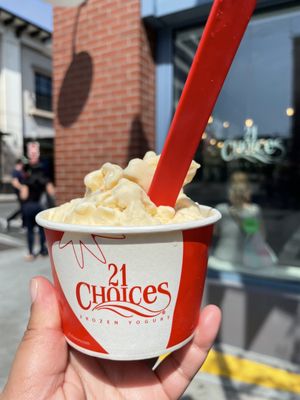 21 Choices Frozen Yogurt by null