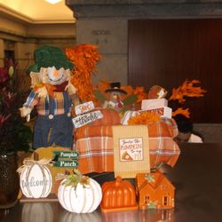Delancey Street Christmas Trees - Fall Display