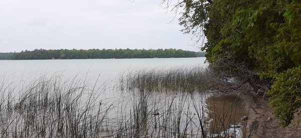 Newport State Park by null