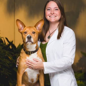 Hebron Animal Hospital - Veterinarians Near Me - Hebron, Kentucky Hebron Animal Hospital - Veterinarians Near Me - Hebron, Kentucky