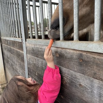 Myrtle Farm Montessori School - Montessori Schools Near Me - Concord, California Myrtle Farm Montessori School - Montessori Schools Near Me - Concord, California