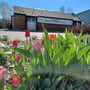 Photo of Columbine Unitarian Universalist Church