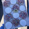 Eileen's Colossal Cookies - Papillion gift card