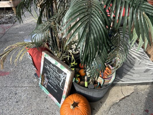 Secret Garden Oasis Juice Bar & Tea House by null