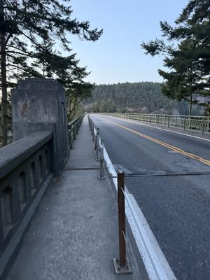 Deception Pass Bridge by null