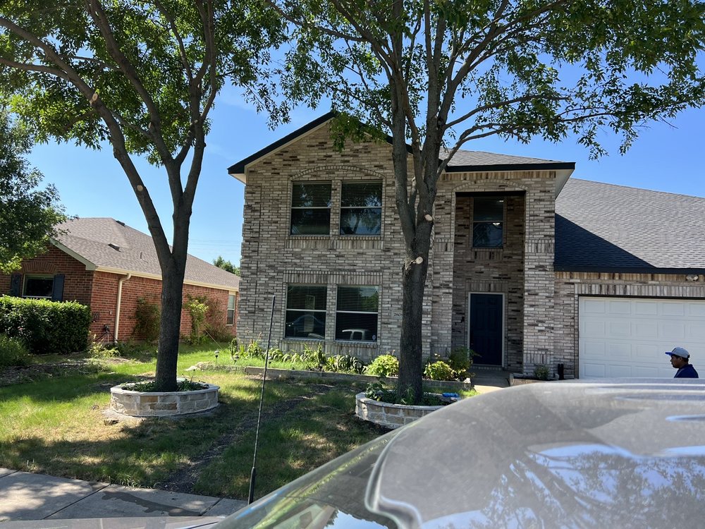 Herbst Tree Service - tree service in Wylie, TX